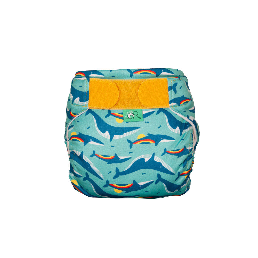 Swim Nappy