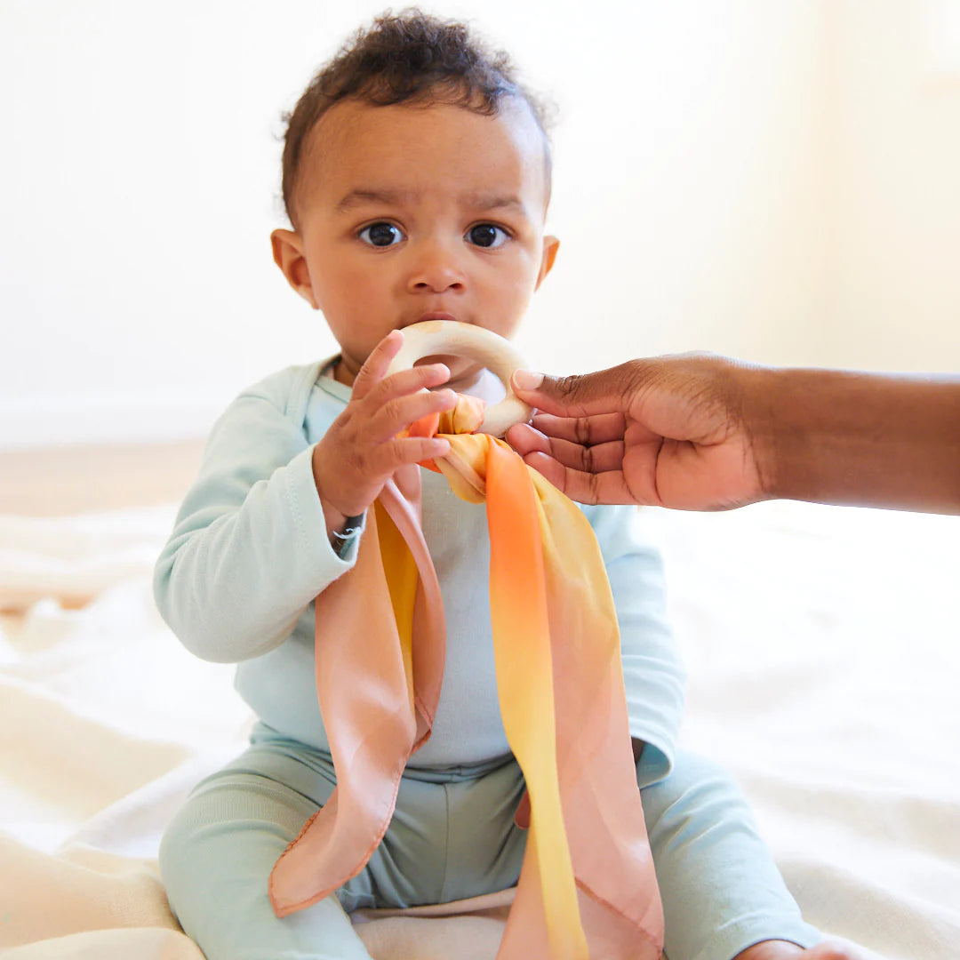 Desert Baby Teethers
