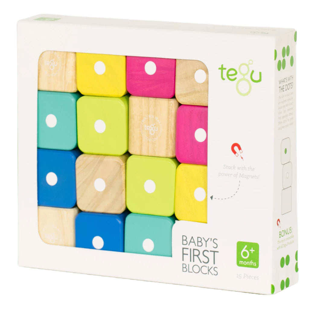 TEGU Magnetic Baby First Blocks
