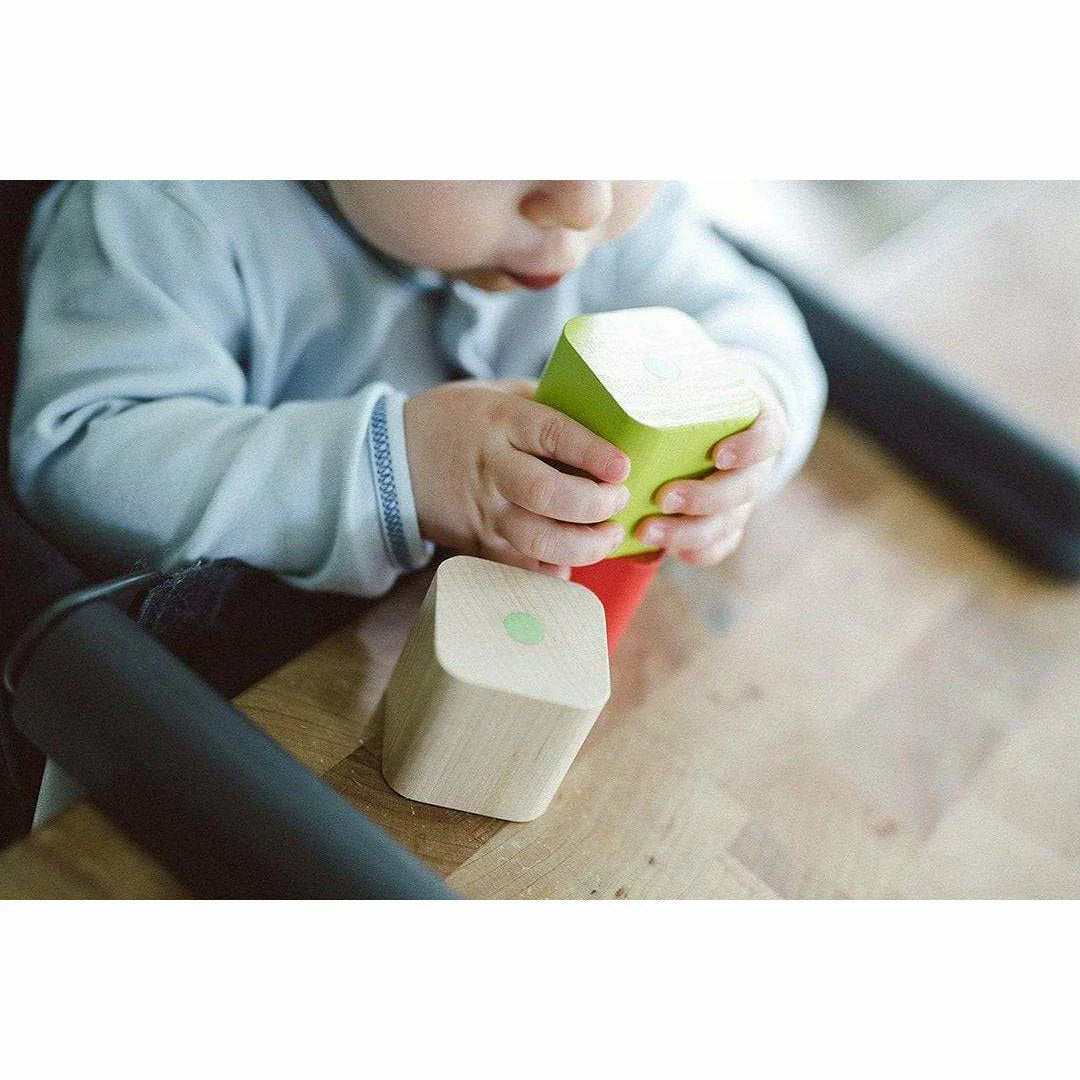 TEGU Magnetic Baby First Blocks