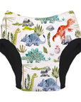 Potty Training Pant