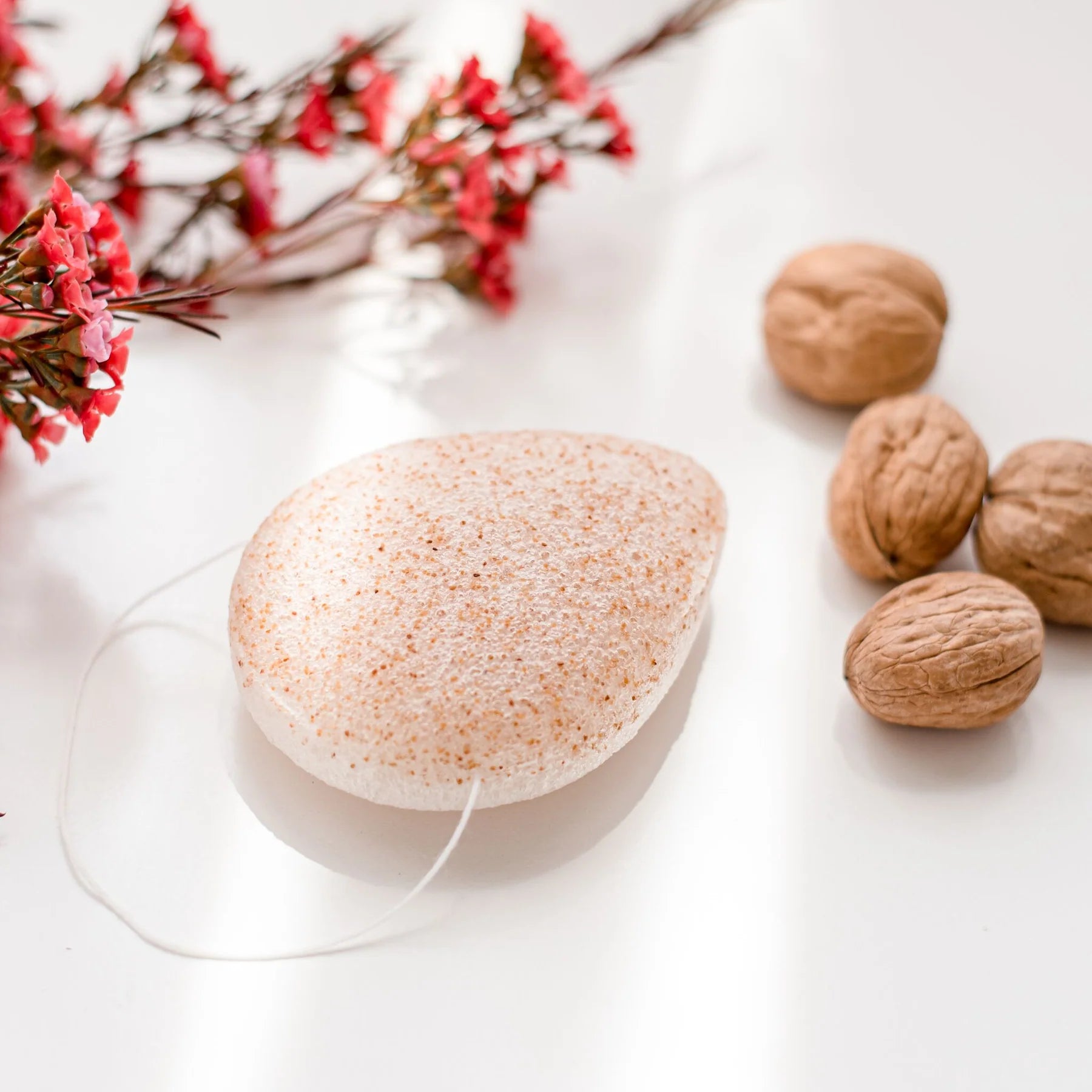 Walnut Konjac Sponge (Face and Lip scrub)