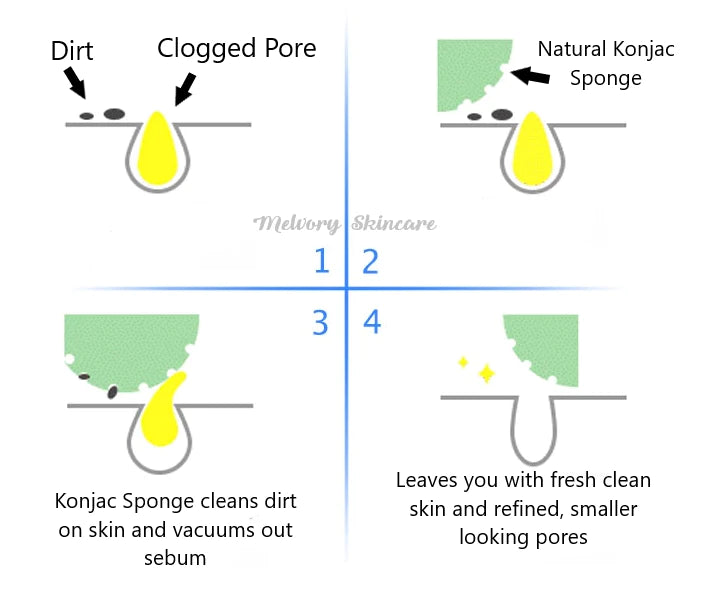 Walnut Konjac Sponge (Face and Lip scrub)