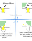 Walnut Konjac Sponge (Face and Lip scrub)