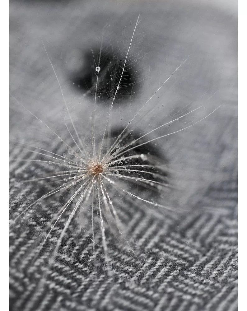 Merino Wool Cover OS