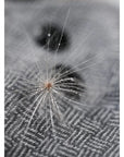 Merino Wool Cover OS