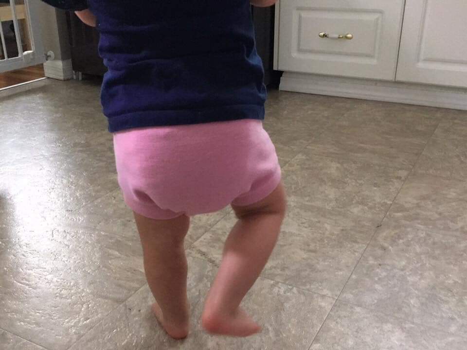 Wool Diaper Cover